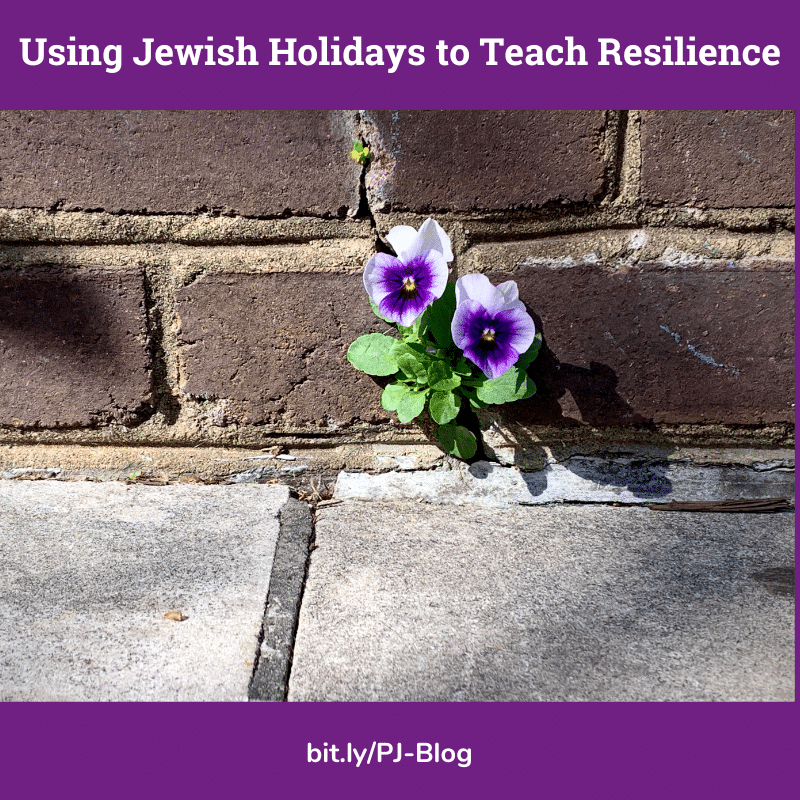 Resilience image with a violet growing in a sidewalk crack