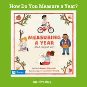 Measuring a Year book cover