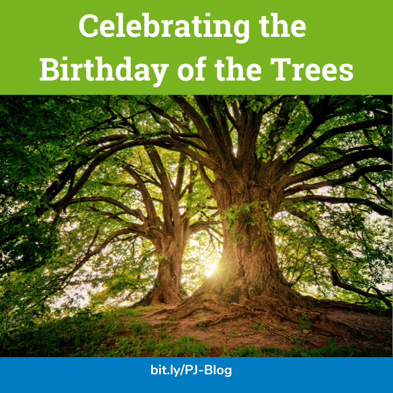 Celebrating the Birthday of the Trees graphic